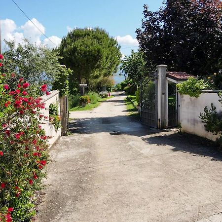 La Staccionata Villa Arpino Exteriör bild