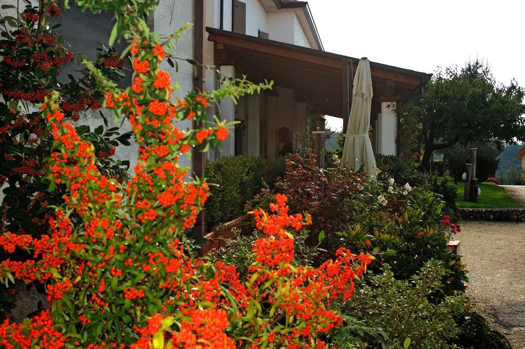 La Staccionata Villa Arpino Exteriör bild