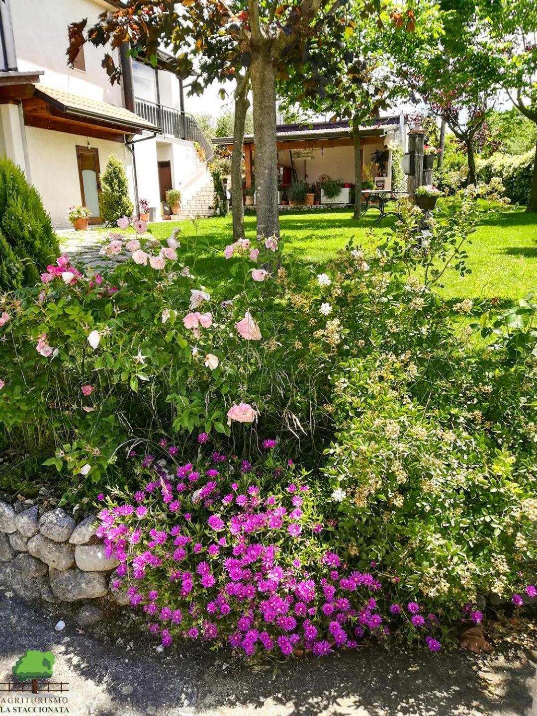 La Staccionata Villa Arpino Exteriör bild